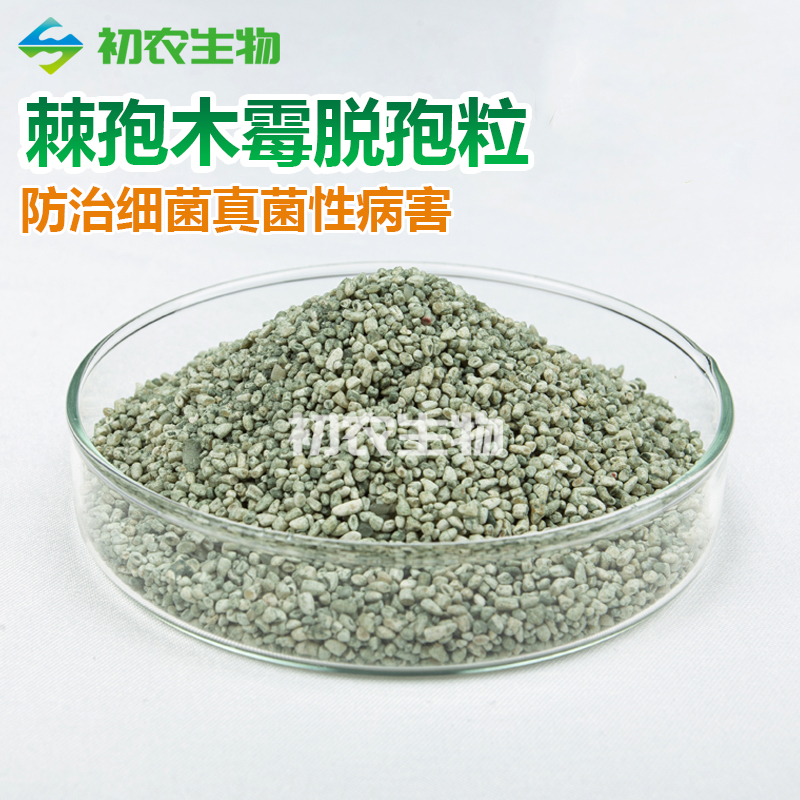 棘孢木霉脫孢粒（木霉類）