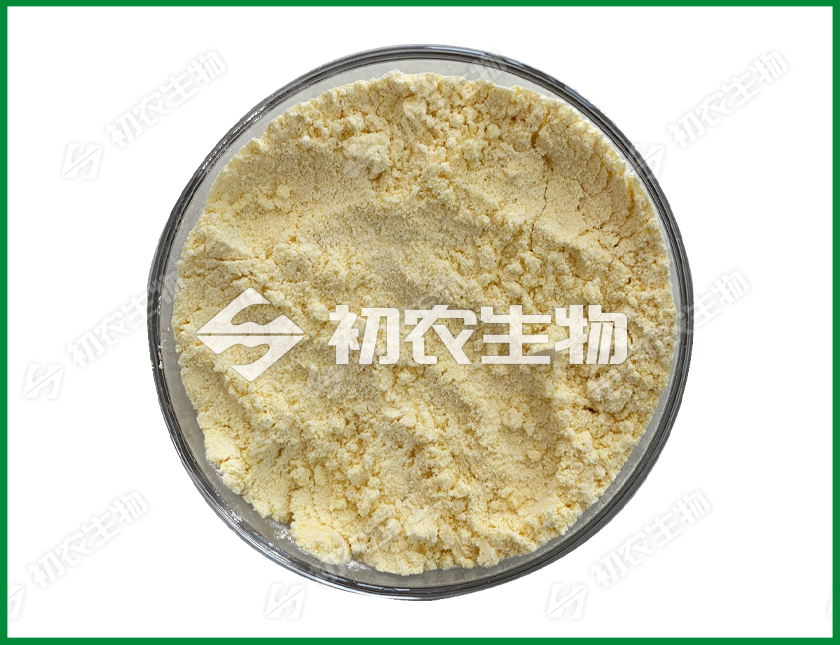 細(xì)黃連霉菌（放線菌）