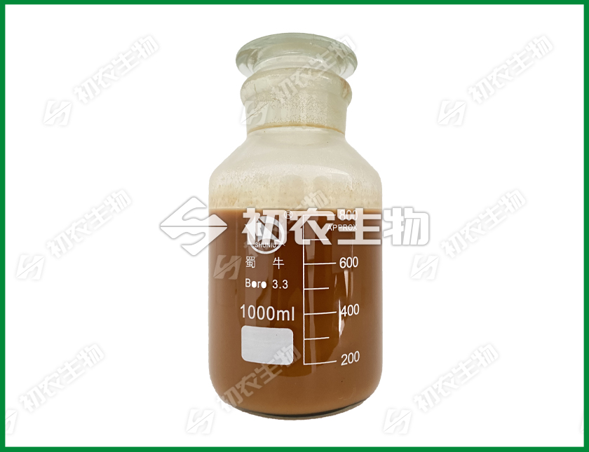 復合微生物菌劑（促生菌類）