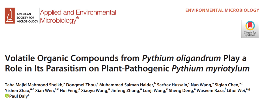 寡雄腐霉揮發性有機物協助其寄生植物病原菌