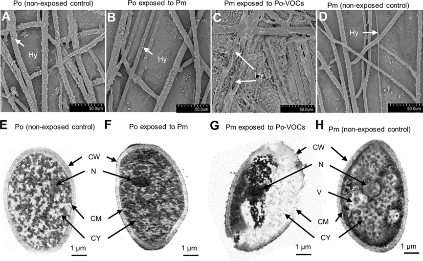 1739846239171245.png image.png