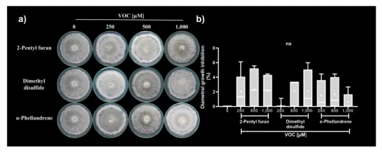 1740567367764893.png image.png