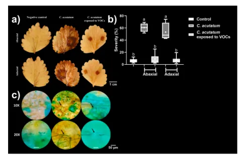 1740567375294541.png image.png