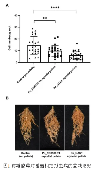 1744173336143169.png image.png