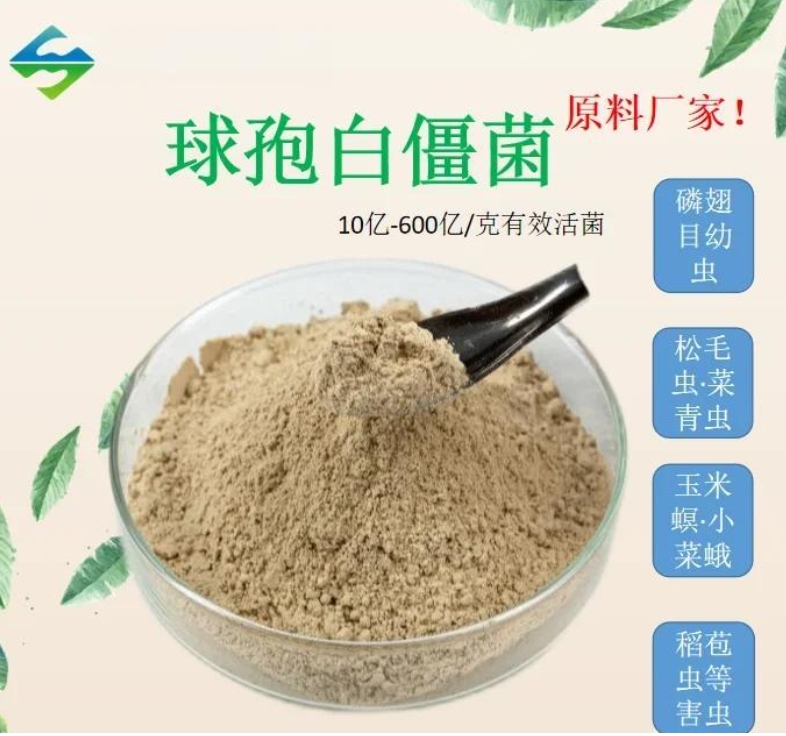 古法農作體系升級實踐：微生物技術助力農業文化遺產地生態轉型